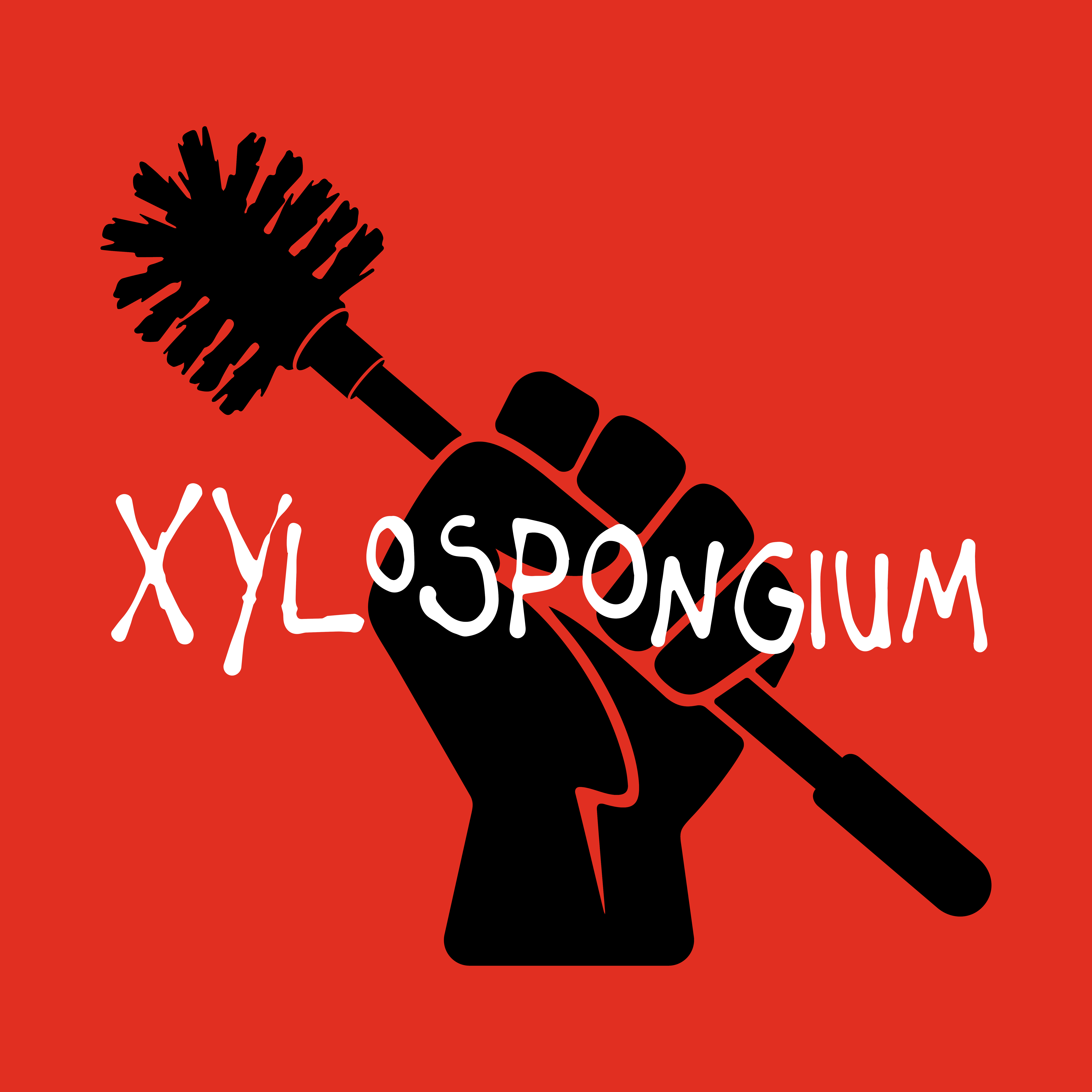 XYLOSPONGIUM & Taken from None
